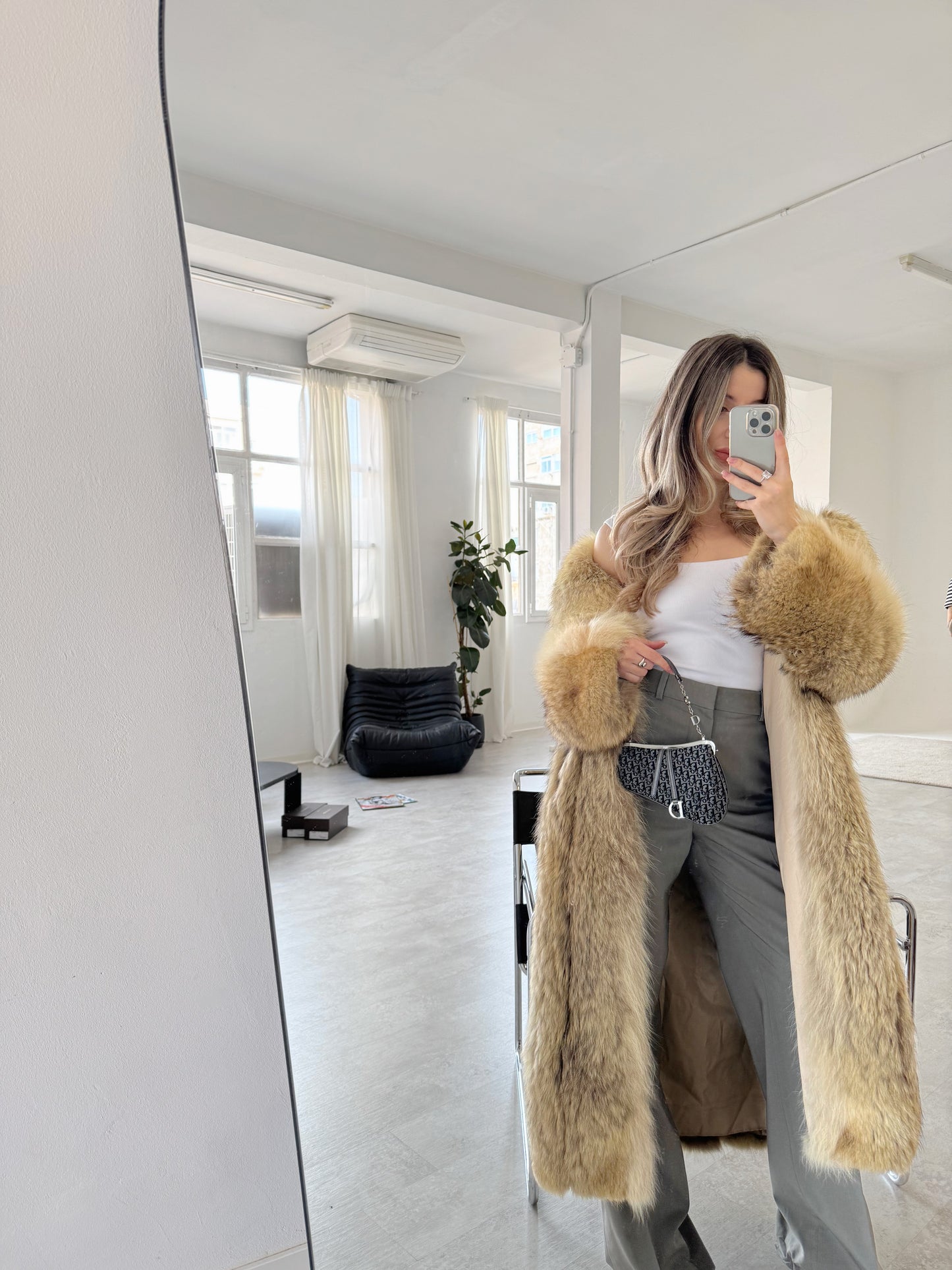 Dior Mini Saddle Trotter bag