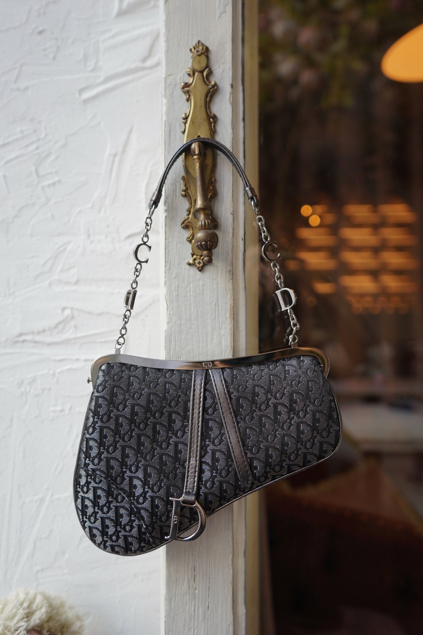 Dior Mini Saddle Trotter bag