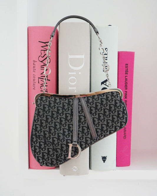 Dior Mini Saddle Trotter bag