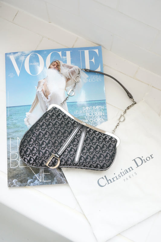 Dior Mini Saddle Trotter bag