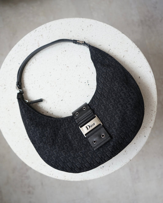 Dior Street Chic Hobo bag